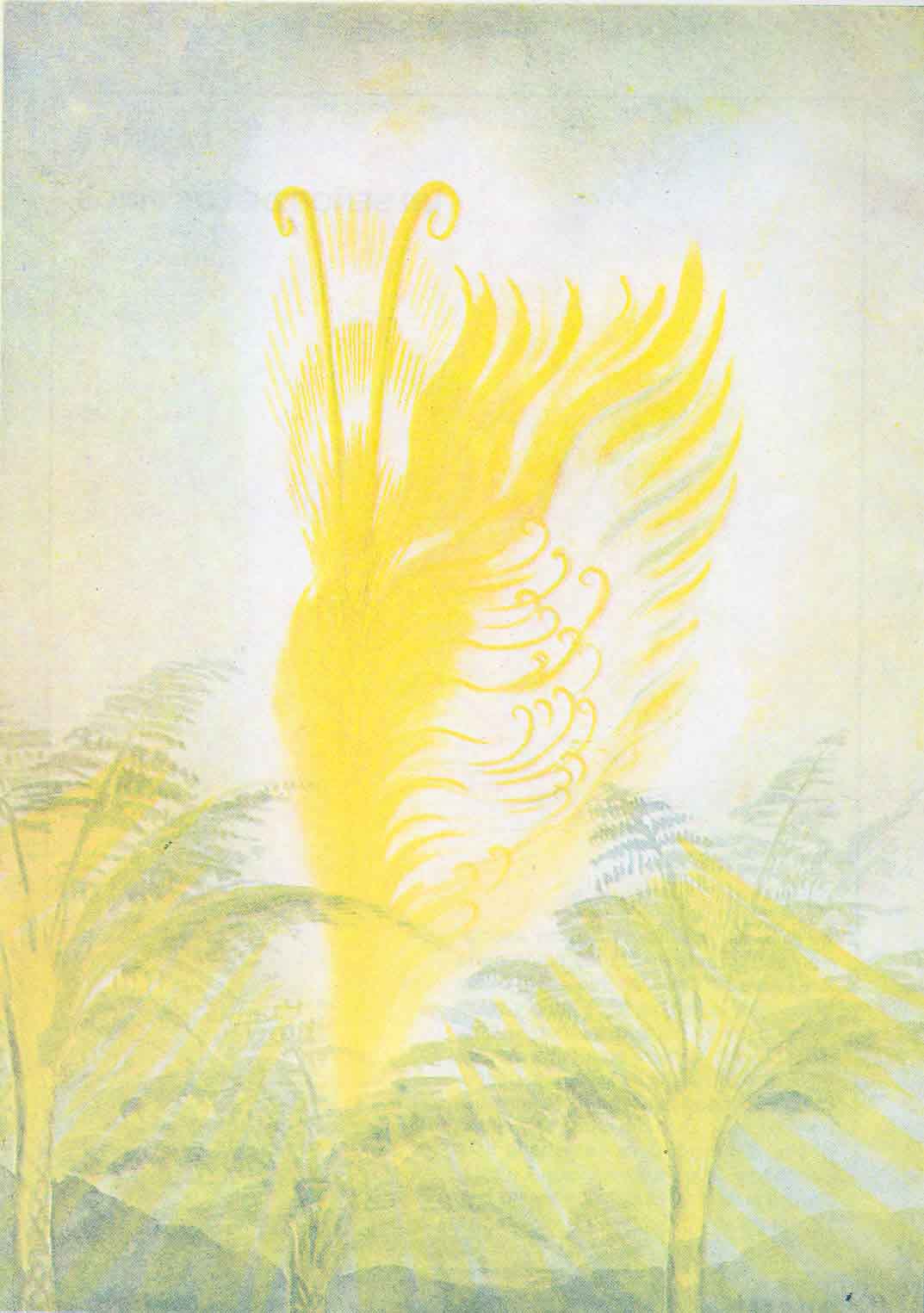 Señor de los Helechos